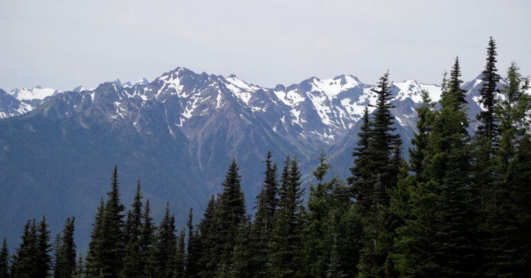Human remains found in sleeping bag in national park identified after 26 years – USA News 12 June 2026